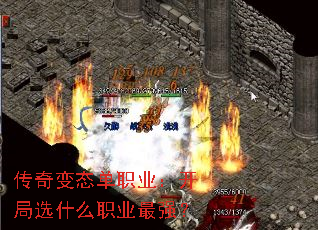 �����̬��ְҵ������ѡʲôְҵ��ǿ��