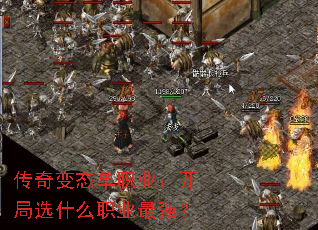 �����̬��ְҵ������ѡʲôְҵ��ǿ��
