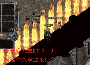 �����̬��ְҵ������ѡʲôְҵ��ǿ��
