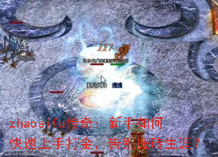 zhaosifu���棺������ο������ִ�𣬸���ש���ģ�