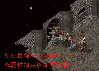 单挑最强职业是哪个,变态属性加点该如何选择? 单挑最强职业是哪个,变态属性加点该如何选择?