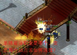 单挑最强职业是哪个,变态属性加点该如何选择? 单挑最强职业是哪个,变态属性加点该如何选择?