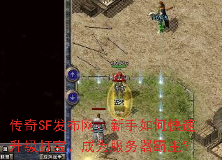 传奇SF发布网:新手如何快速升级打宝,成为服务器霸主? 传奇SF发布网:新手如何快速升级打宝,成为服务器霸主?