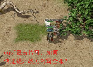cqsf复古传奇,如何快速提升战力制霸全服? cqsf复古传奇,如何快速提升战力制霸全服?