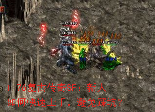 1.76���Ŵ���SF��������ο������֣�����ȿӣ�