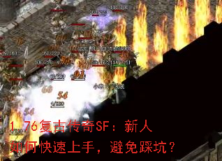1.76���Ŵ���SF��������ο������֣�����ȿӣ�