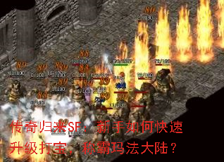传奇归来SF:新手如何快速升级打宝,称霸玛法大陆? 传奇归来SF:新手如何快速升级打宝,称霸玛法大陆?