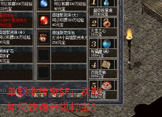 单职业传奇SF:初期如何快速升级打宝? 单职业传奇SF:初期如何快速升级打宝?