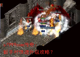 sf999com传奇:新手村快速升级攻略? sf999com传奇:新手村快速升级攻略?