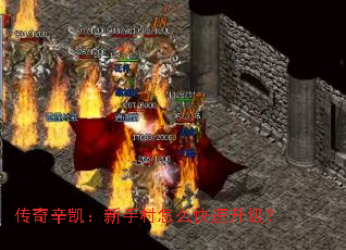 传奇辛凯:新手村怎么快速升级? 传奇辛凯:新手村怎么快速升级?