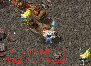 传奇变态单职业私服:如何快速飞升,制霸全服? 传奇变态单职业私服:如何快速飞升,制霸全服?