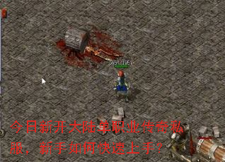 今日新开大陆单职业传奇私服,新手如何快速上手? 今日新开大陆单职业传奇私服,新手如何快速上手?