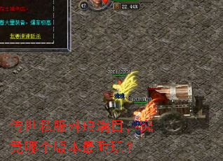 ����˽��������Ŀ�������ĸ��汾�����棿