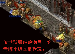 ����˽��������Ŀ�������ĸ��汾�����棿