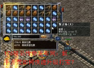 176精品传奇发布网:新手开荒如何快速升级打宝? 176精品传奇发布网:新手开荒如何快速升级打宝?