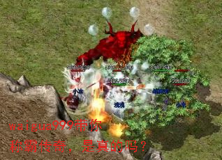 waigua999带你称霸传奇,是真的吗? waigua999带你称霸传奇,是真的吗?