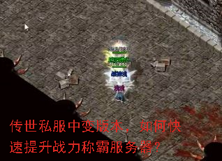 传世私服中变版本,如何快速提升战力称霸服务器? 传世私服中变版本,如何快速提升战力称霸服务器?