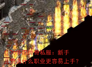 1.76���ɴ���˽�������ֿ���ѡʲôְҵ���������֣�