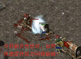 今日新开传世SF,如何快速提升战力问鼎巅峰? 今日新开传世SF,如何快速提升战力问鼎巅峰?
