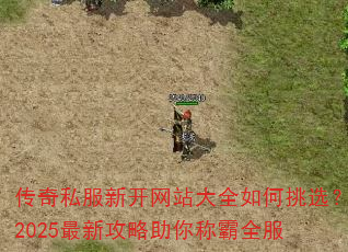 传奇私服新开网站大全如何挑选?2025最新攻略助你称霸全服 传奇私服新开网站大全如何挑选?2025最新攻略助你称霸全服