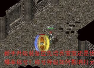 新手升级装备应先培养宝宝还是优先提升爆率称号?称号等级如何影响打元效率? 新手升级装备应先培养宝宝还是优先提升爆率称号?称号等级如何影响打元效率?