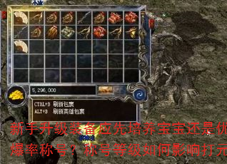 新手升级装备应先培养宝宝还是优先提升爆率称号?称号等级如何影响打元效率? 新手升级装备应先培养宝宝还是优先提升爆率称号?称号等级如何影响打元效率?