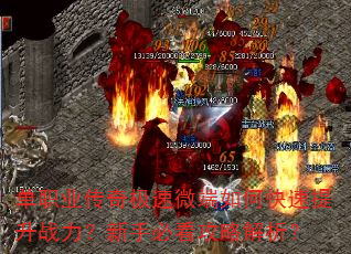 ��ְҵ���漫��΢����ο�������ս�������ֱؿ����Խ�����