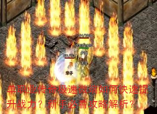 ��ְҵ���漫��΢����ο�������ս�������ֱؿ����Խ�����