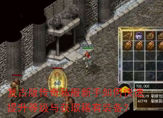 复古版传奇私服新手如何快速提升等级与获取稀有装备? 复古版传奇私服新手如何快速提升等级与获取稀有装备?