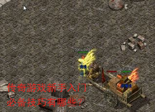 传奇游戏新手入门必备技巧有哪些? 传奇游戏新手入门必备技巧有哪些?