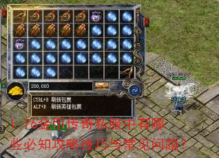 1.76金币传奇私服中有哪些必知攻略技巧与常见问题? 1.76金币传奇私服中有哪些必知攻略技巧与常见问题?
