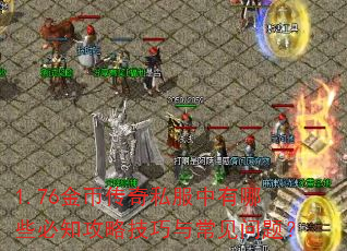 1.76金币传奇私服中有哪些必知攻略技巧与常见问题? 1.76金币传奇私服中有哪些必知攻略技巧与常见问题?