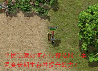 平民玩家如何在传奇私服中零氪金长期生存并提升战力? 平民玩家如何在传奇私服中零氪金长期生存并提升战力?