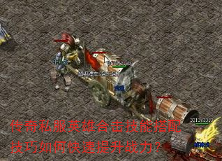 传奇私服英雄合击技能搭配技巧如何快速提升战力? 传奇私服英雄合击技能搭配技巧如何快速提升战力?