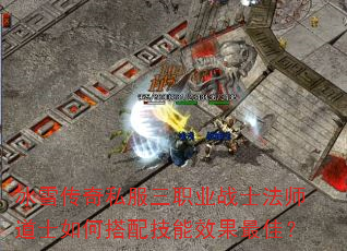 冰雪传奇私服三职业战士法师道士如何搭配技能效果最佳? 冰雪传奇私服三职业战士法师道士如何搭配技能效果最佳?