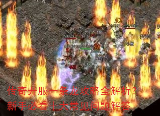 ���濪��һ��������ȫ���������ֱؿ�ʮ�󳣼�������