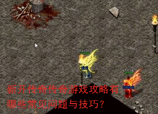 �¿����洫����Ϸ��������Щ���������뼼�ɣ�