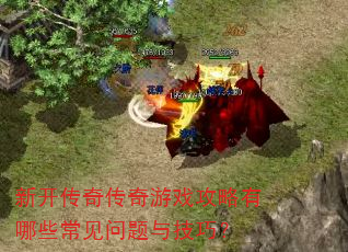 �¿����洫����Ϸ��������Щ���������뼼�ɣ�