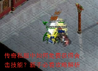传奇私服中如何免费获得合击技能?新手必看攻略解析 传奇私服中如何免费获得合击技能?新手必看攻略解析
