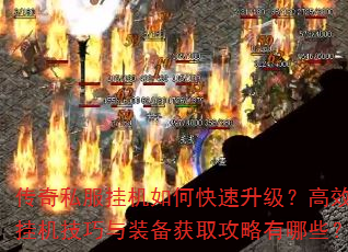 ����˽���һ���ο�����������Ч�һ�������װ����ȡ��������Щ��