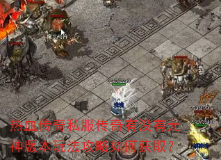 ��Ѫ����˽��������û��Ԫ��汾�淨������λ�ȡ��