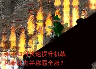 新手如何快速提升机战私服战力并称霸全服? 新手如何快速提升机战私服战力并称霸全服?