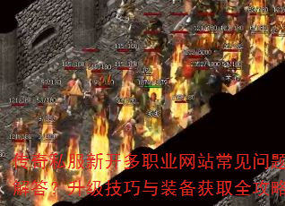 ����˽���¿���ְҵ��վ��������������������װ����ȡȫ����