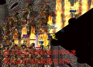 �¿���䴫��˽����ο�������ս�����ȡϡ��װ����