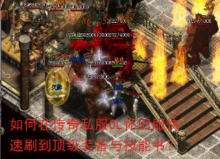 ����ڴ���˽��OL���ɷ�����ˢ������װ���뼼���飿
