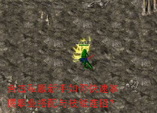 合击私服新手如何快速掌握职业搭配与技能连招? 合击私服新手如何快速掌握职业搭配与技能连招?