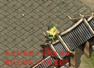 合击私服新手如何快速掌握职业搭配与技能连招? 合击私服新手如何快速掌握职业搭配与技能连招?