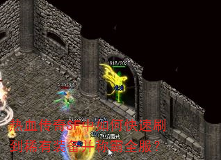 热血传奇SF中如何快速刷到稀有装备并称霸全服? 热血传奇SF中如何快速刷到稀有装备并称霸全服?