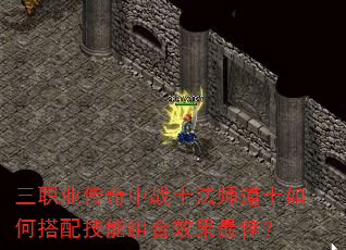 ��ְҵ������սʿ��ʦ��ʿ��δ��似�����Ч����ѣ�