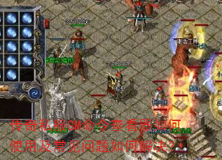 ����˽��GM����鿴�����ʹ�ü�����������ν����
